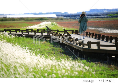風景 水路 花 78195811
