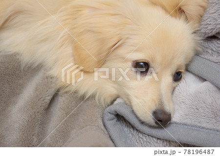 Fawsyqflmdmrfm Fawsyqflmdmrfm