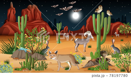 Desert forest landscape at night scene with wild animals 78197780