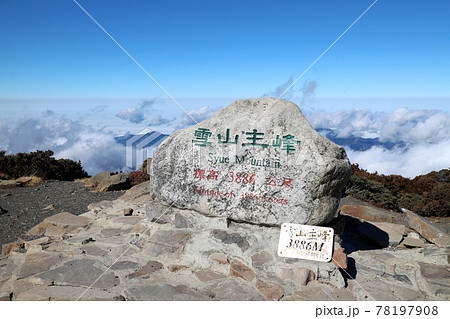山 鶏冠 とさか 78197908