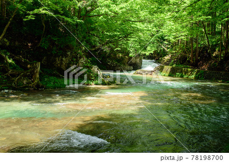 気持ちの良い渓流の散策路「伏伸の滝」秋田県 気持ちの良い渓流の散策路「伏伸の滝」秋田県 78198700