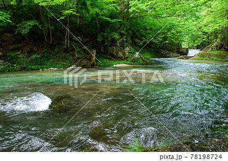 気持ちの良い渓流の散策路「伏伸の滝」秋田県 気持ちの良い渓流の散策路「伏伸の滝」秋田県 78198724