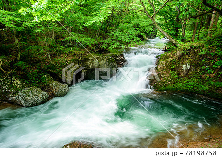 展望台から望む「伏伸の滝」絶景 秋田県 展望台から望む「伏伸の滝」絶景 秋田県 78198758