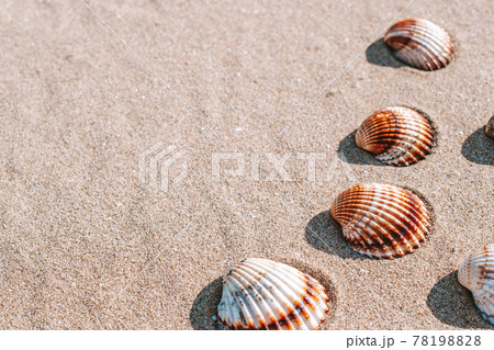 Summer background beach with seashells, starfishes on sand ocean background. Copy space. Road frame set. Summer background beach with seashells, starfishes on sand ocean background. Copy space. Road frame set. 78198828