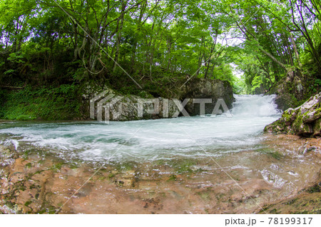 きれいな水流れる「伏伸の滝」春 秋田県 きれいな水流れる「伏伸の滝」春 秋田県 78199317