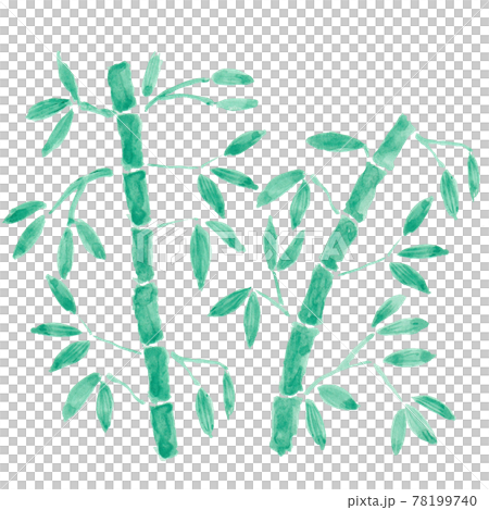 Watercolor illustration of bamboo and bamboo grass Watercolor illustration of bamboo and bamboo grass 78199740