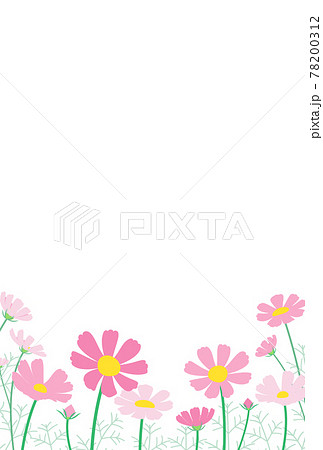 コスモスがたくさん咲いている風景のメッセージカード はがきサイズ縦型のイラスト素材
