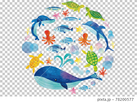 Watercolor Style Sea Creature Set Stock Illustration