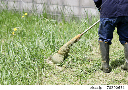 庭の草刈りをする女性　家庭用電動草刈り機　 78200631