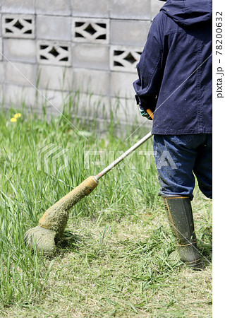 家庭用電動草刈機で庭の草刈りをする中年女性 家庭用電動草刈機で庭の草刈りをする中年女性 78200632