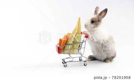 Adorable young bunny pushing the shopping cart with fresh carrots over isolated white background Adorable young bunny pushing the shopping cart with fresh carrots over isolated white background 78201908