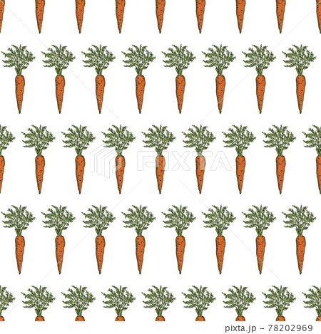 Hand drawn carrot seamless pattern. Vintage background. Vector 78202969