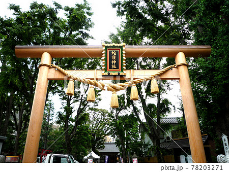 蛇窪神社　鳥居 78203271