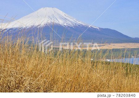 山中湖村鉄砲木ノ頭より望む春の富士山と山中湖 山中湖村鉄砲木ノ頭より望む春の富士山と山中湖 78203840