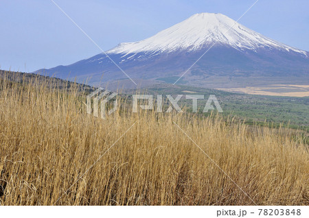 丹沢山地の鉄砲木ノ頭より春の富士山 丹沢山地の鉄砲木ノ頭より春の富士山 78203848