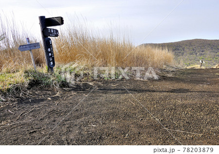 甲相国境尾根の道　鉄砲木ノ頭山頂より三国山 78203879