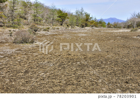 三国山稜 アザミ平より三ツ峠山を遠くに望む 三国山稜 アザミ平より三ツ峠山を遠くに望む 78203901