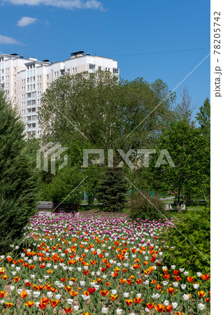 Zelenograd - an eco-friendly area in Moscow, Russia. High-rise building surrounded by trees Zelenograd - an eco-friendly area in Moscow, Russia. High-rise building surrounded by trees 78205742