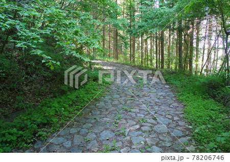 信州　東筑摩筑北地区の文化財　善光寺街道　立峠の石畳　善光寺詣でに賑わった峠道の難所 78206746