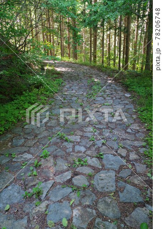 信州　東筑摩筑北地区の文化財　善光寺街道　立峠の石畳　善光寺詣でに賑わった峠道の難所 78206748