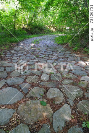 信州 東筑摩筑北地区の文化財 善光寺街道 立峠の石畳 善光寺詣でに賑わった峠道の難所 信州 東筑摩筑北地区の文化財 善光寺街道 立峠の石畳 善光寺詣でに賑わった峠道の難所 78206751