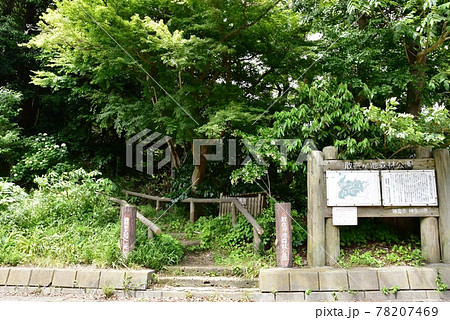 鎌倉市 散在ガ池森林公園(鎌倉湖)の南口と新緑 鎌倉市 散在ガ池森林公園(鎌倉湖)の南口と新緑 78207469
