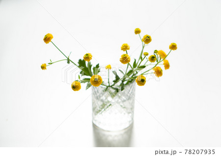 Small yellow buttercups flowers in glass vase 78207935