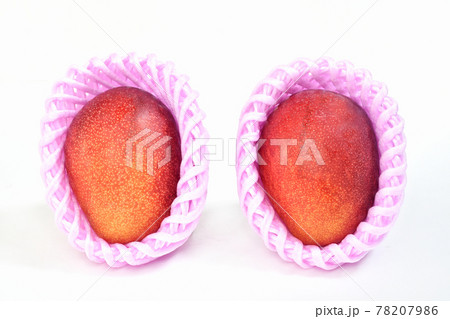 完熟マンゴー 完熟マンゴー 78207986