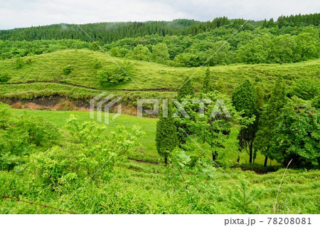 国道265号線沿い、上益城郡山都町の展望休憩所からの眺め 78208081