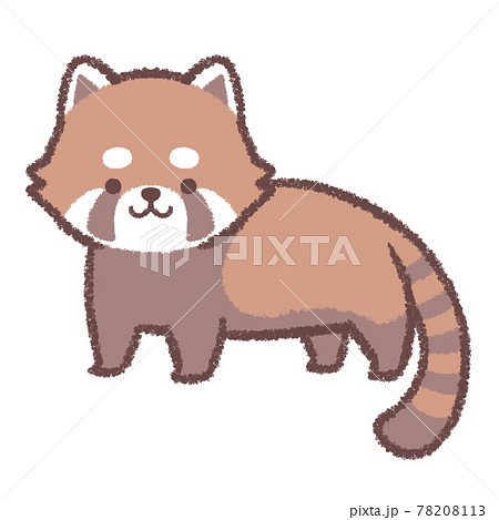 Lesser Panda Stock Illustration