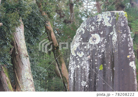 法多山尊永寺内 仁王門前 法多山尊永寺内 仁王門前 78208222