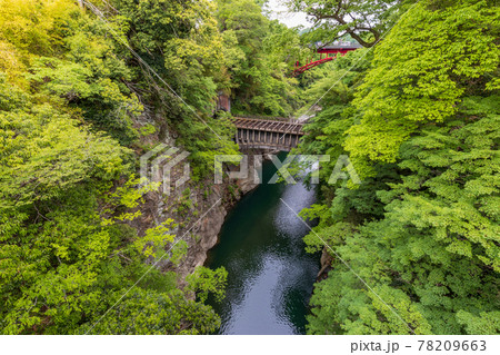 (山梨県)猿橋に隣接する、八ツ沢発電所一号水路橋 (山梨県)猿橋に隣接する、八ツ沢発電所一号水路橋 78209663