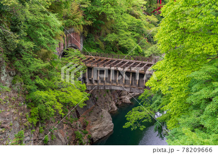 (山梨県)猿橋に隣接する、八ツ沢発電所一号水路橋 (山梨県)猿橋に隣接する、八ツ沢発電所一号水路橋 78209666