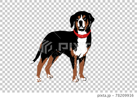 一隻狗的插圖 78209916