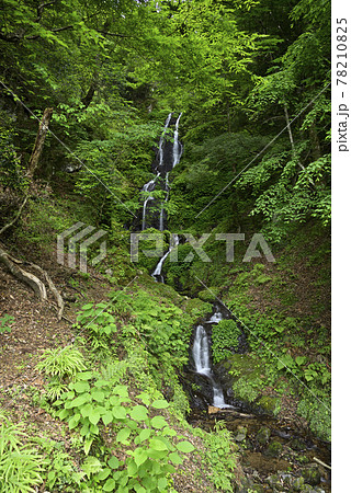 新鞍の滝(福井県大飯郡おおい町) 新鞍の滝(福井県大飯郡おおい町) 78210825