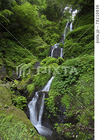 新鞍の滝（福井県大飯郡おおい町） 78210836