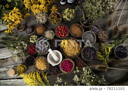 Fresh medicinal herbs on wooden background Fresh medicinal herbs on wooden background 78211102