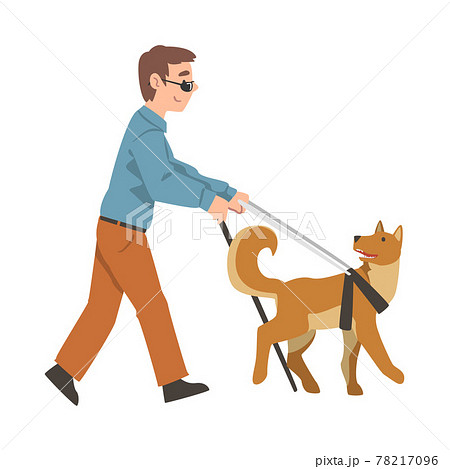 Blind Boy with Cane Guided by Seeing Eye Dog on... - Stock Illustration  [78217096] - PIXTA