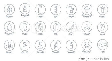 Allergen line icon big set. Nut, corn, milk, honey, gluten mustard, gmo sesame, lactose fish, egg mollusk free. Organic and natural food labels. Allergy warning ingredients. Vector illustration 78219169