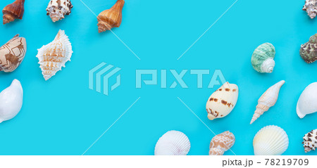 Frame made of exotic seashells on blue background. Frame made of exotic seashells on blue background. 78219709