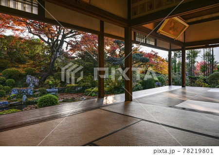 紅葉の魚山大原寺、実光院 客殿より西日に輝く庭園を眺める 紅葉の魚山大原寺、実光院 客殿より西日に輝く庭園を眺める 78219801