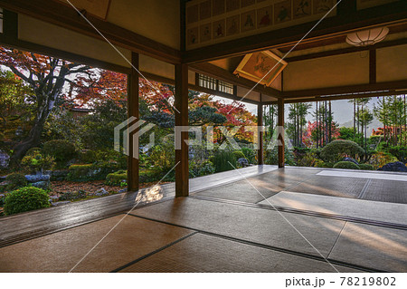 紅葉の魚山大原寺、実光院　客殿より西日に輝く庭園を眺める 78219802