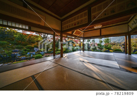 紅葉の魚山大原寺、実光院　客殿より西日に輝く庭園を眺める 78219809