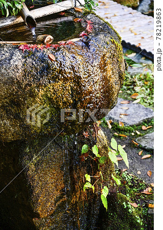 紅葉の魚山大原寺、実光院　つくばい 78219863