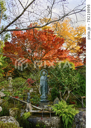 紅葉の魚山大原寺、実光院　観音菩薩像と童像 78219896