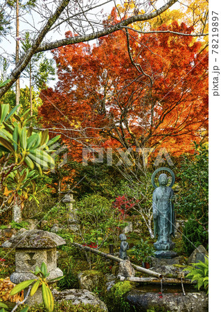 紅葉の魚山大原寺、実光院 観音菩薩像と童像 紅葉の魚山大原寺、実光院 観音菩薩像と童像 78219897