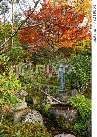 紅葉の魚山大原寺、実光院 観音菩薩像と童像 紅葉の魚山大原寺、実光院 観音菩薩像と童像 78219901