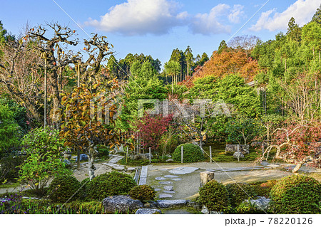 紅葉の魚山大原寺、実光院 旧理覚院(りかくいん)庭園 紅葉の魚山大原寺、実光院 旧理覚院(りかくいん)庭園 78220126