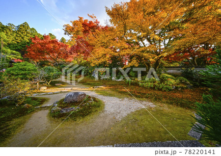 紅葉の魚山大原寺、実光院 旧理覚院(りかくいん)庭園 紅葉の魚山大原寺、実光院 旧理覚院(りかくいん)庭園 78220141