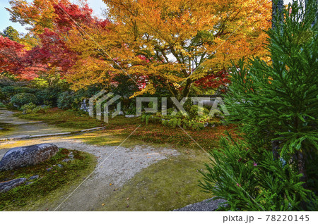 紅葉の魚山大原寺、実光院 旧理覚院(りかくいん)庭園 紅葉の魚山大原寺、実光院 旧理覚院(りかくいん)庭園 78220145